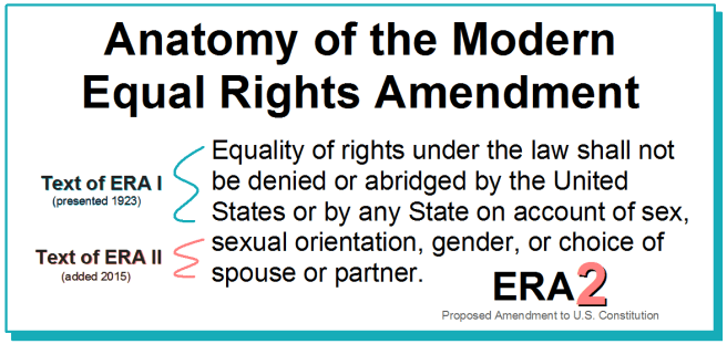 Equal Rights Amendment 2 ("ERA2") | Anatomy